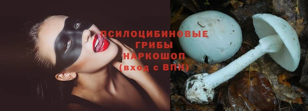 кокс Абаза