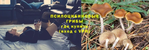 стаф Абинск